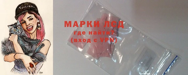 соль ск Белокуриха