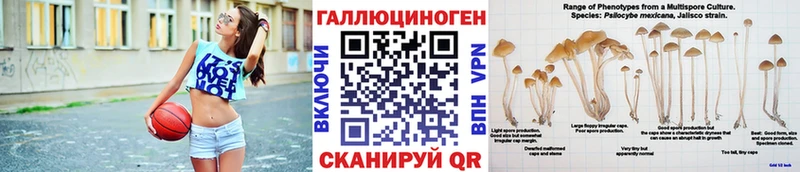 Галлюциногенные грибы Magic Shrooms  Волгореченск 